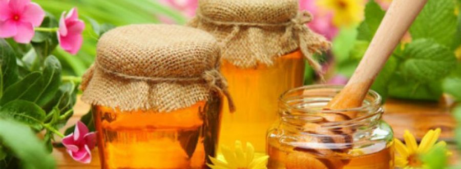 Bạn kiểm tra hàm lượng nước trong mật ong như thế nào?