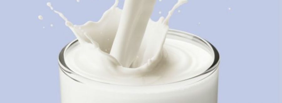 Sử dụng khúc xạ kế để kiểm tra sữa non dành cho động vật